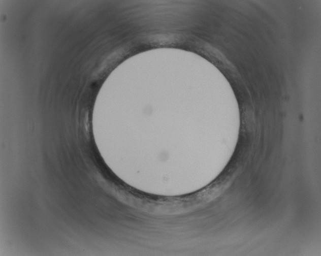 X0000078230024200612011551