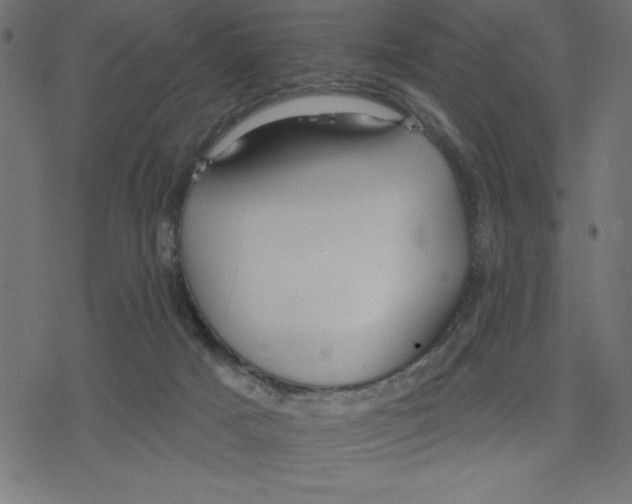 X0000078230025200612011551