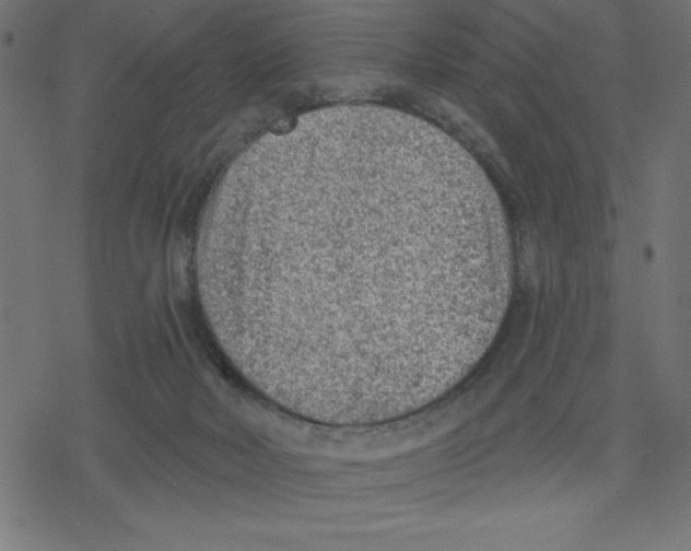 X0000078230026200612011551