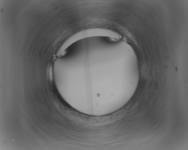 X0000078230027200612011551