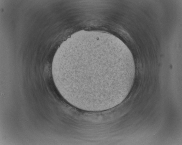 X0000078230029200612011551