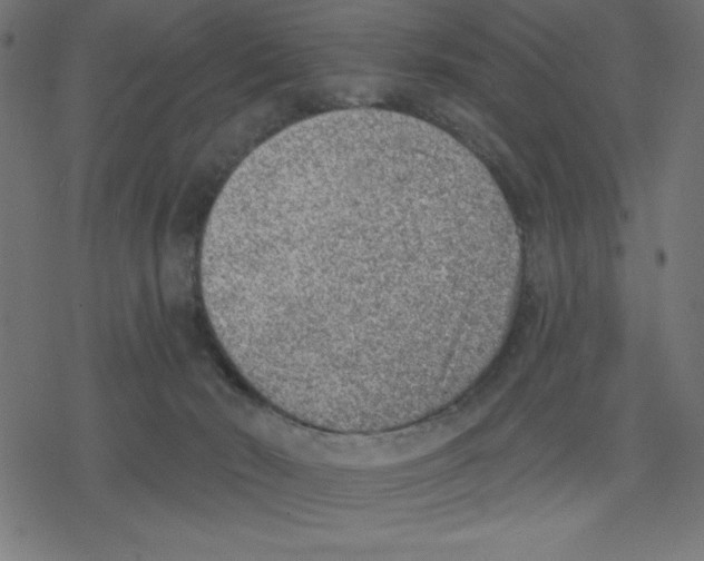 X0000078230030200612011551