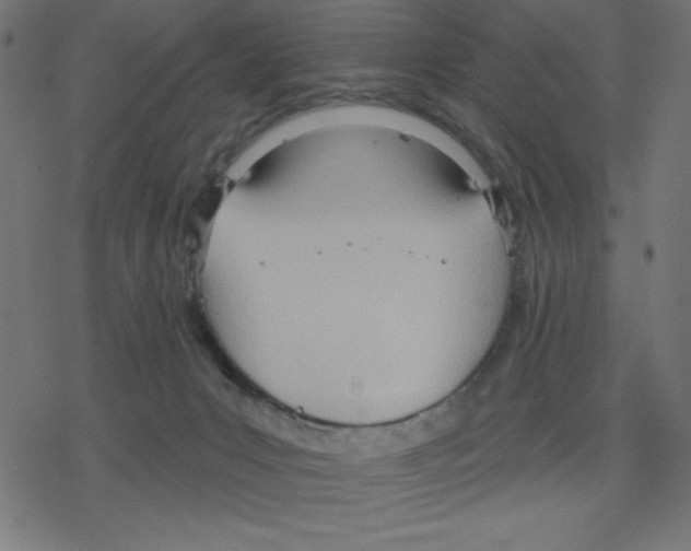 X0000078230031200612011551