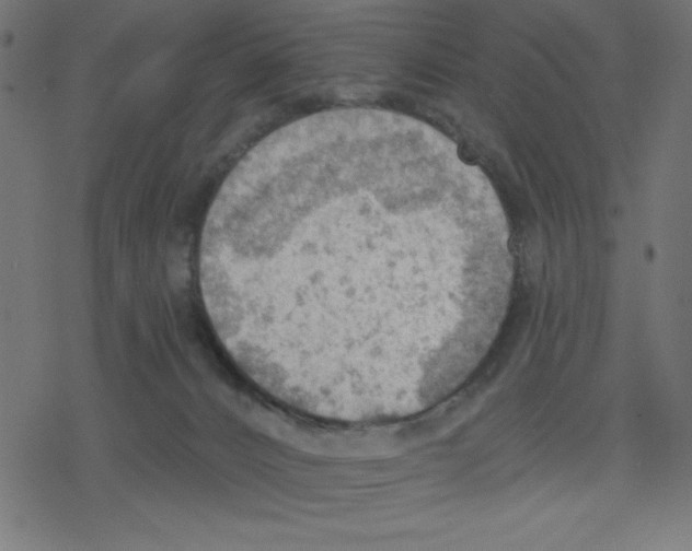 X0000078230032200612011551