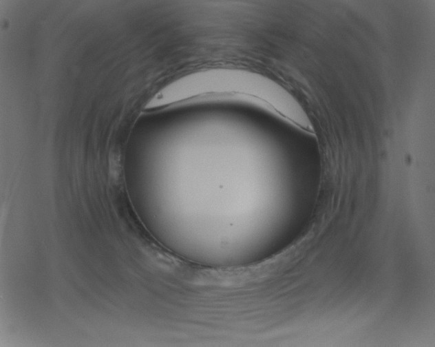 X0000078230033200612011551