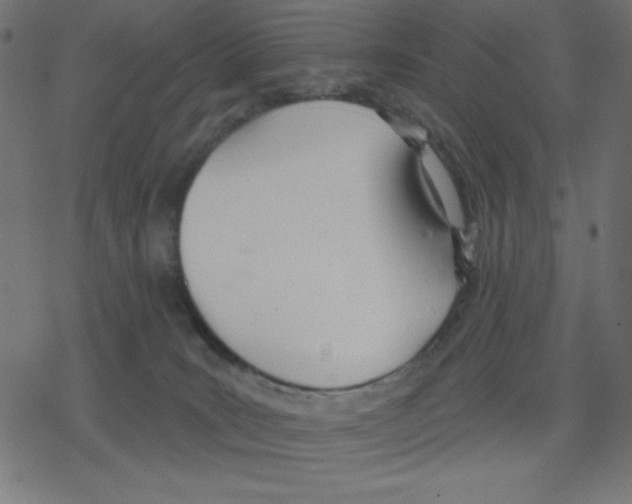 X0000078230035200612011551