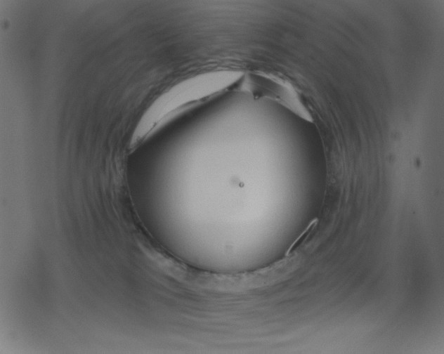 X0000078230037200612011551