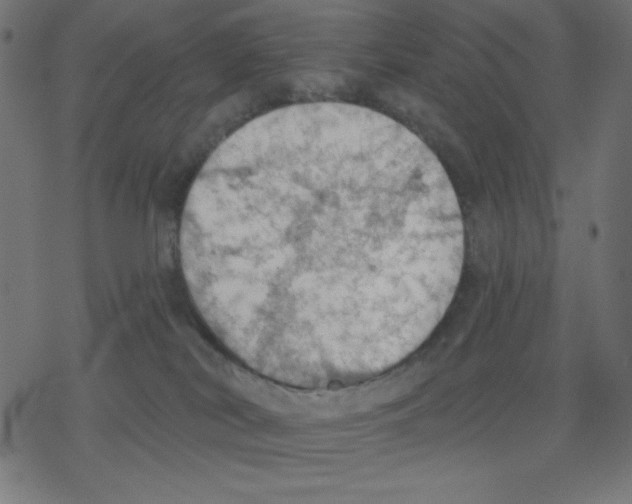 X0000078230038200612011551