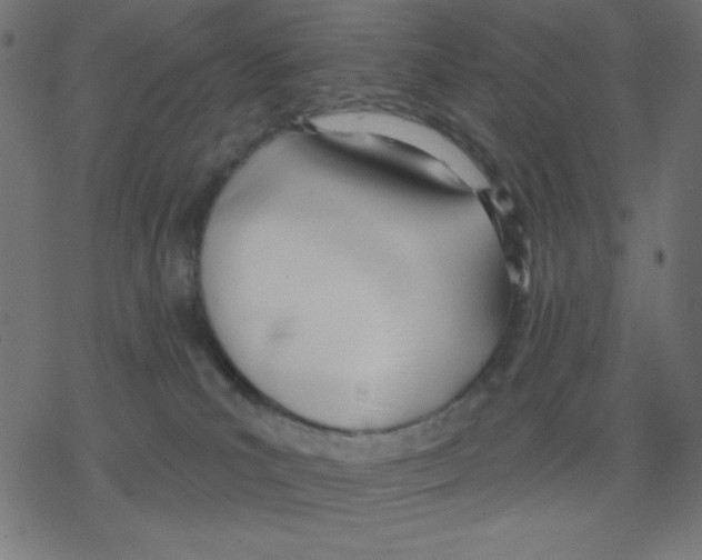 X0000078230039200612011551