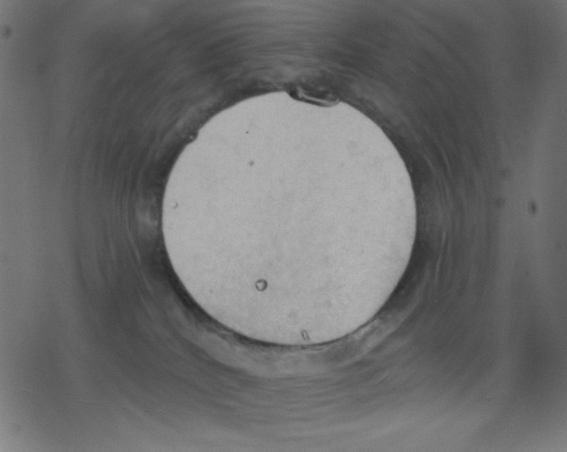 X0000078230040200612011551