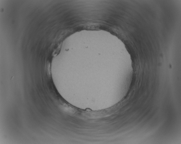 X0000078230041200612011551