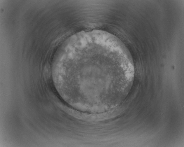 X0000078230043200612011550