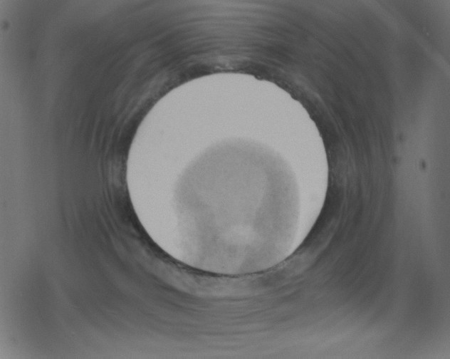 X0000078230044200612011550