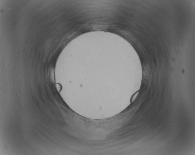 X0000078230046200612011550