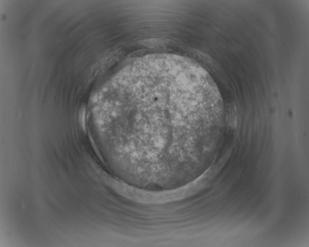 X0000078230047200612011550