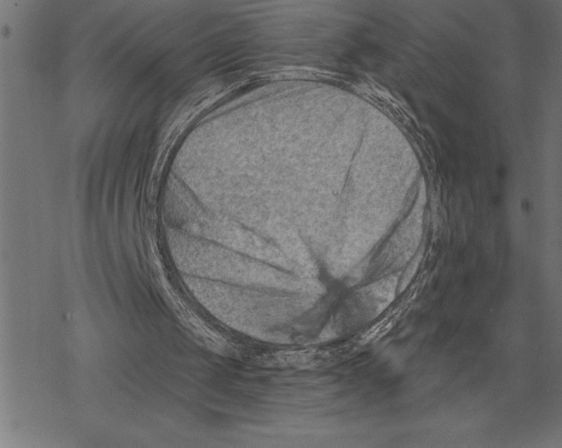 X0000078230049200612011550