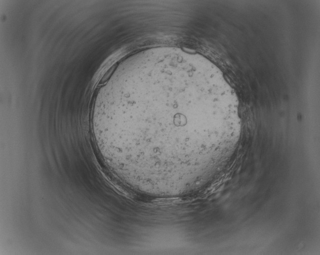 X0000078230051200612011550