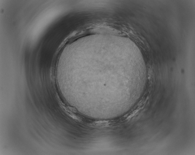 X0000078230052200612011550