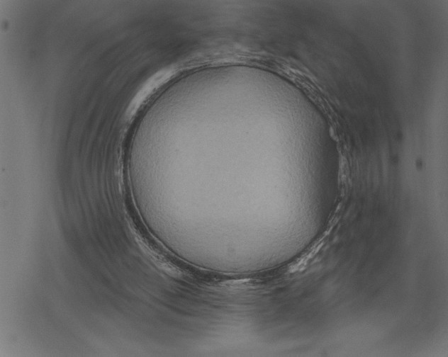 X0000078230054200612011550