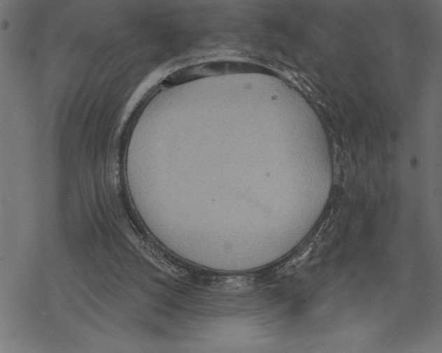 X0000078230056200612011550