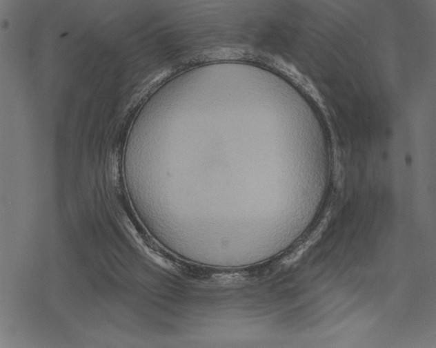 X0000078230057200612011550