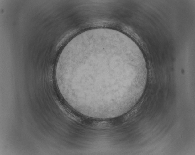 X0000078230058200612011550