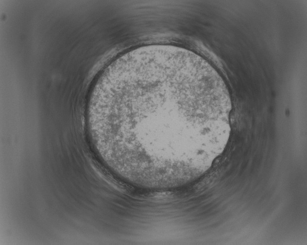 X0000078230059200612011550