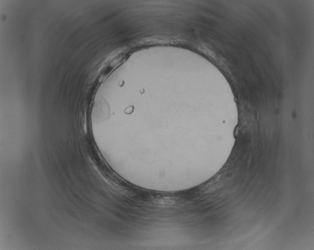 X0000078230062200612011550