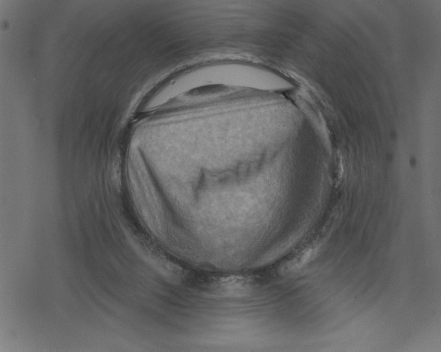 X0000078230064200612011550