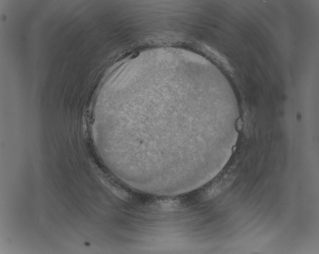 X0000078230065200612011550