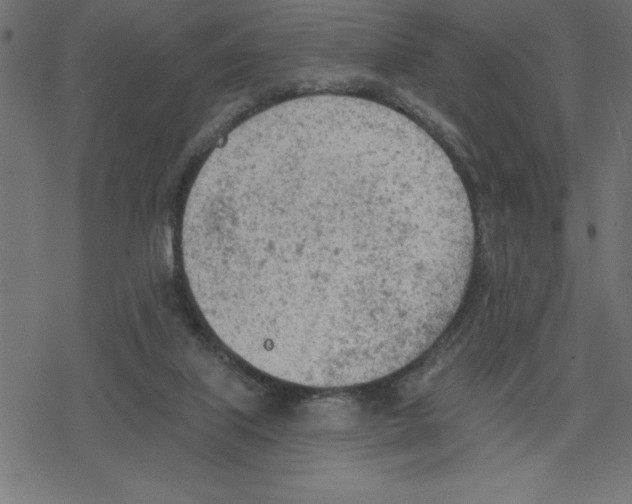 X0000078230067200612011550