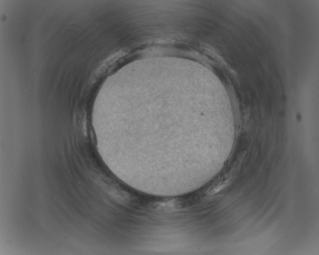 X0000078230068200612011550