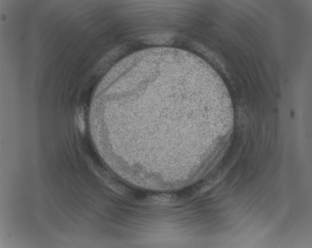 X0000078230069200612011550