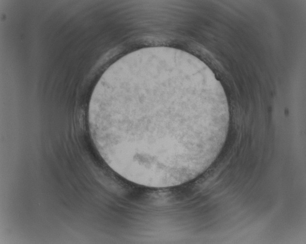 X0000078230071200612011550