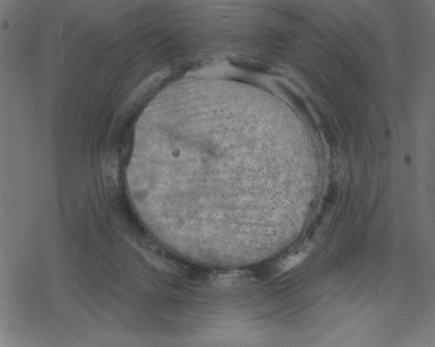 X0000078230072200612011550