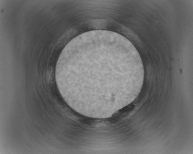 X0000078230073200612011550