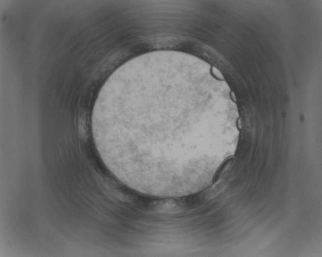 X0000078230074200612011550