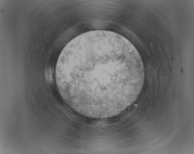 X0000078230075200612011550