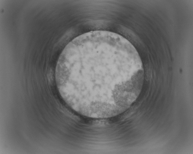 X0000078230077200612011550