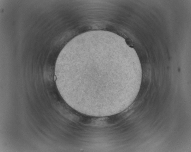 X0000078230078200612011550