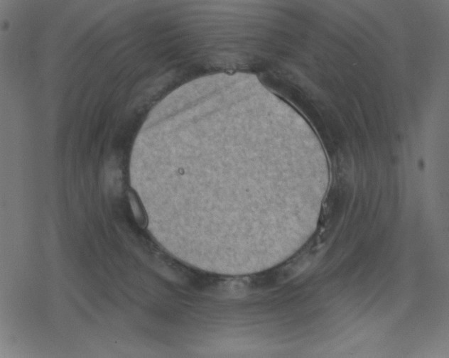 X0000078230080200612011550