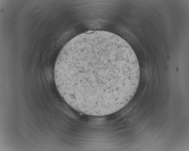 X0000078230081200612011550