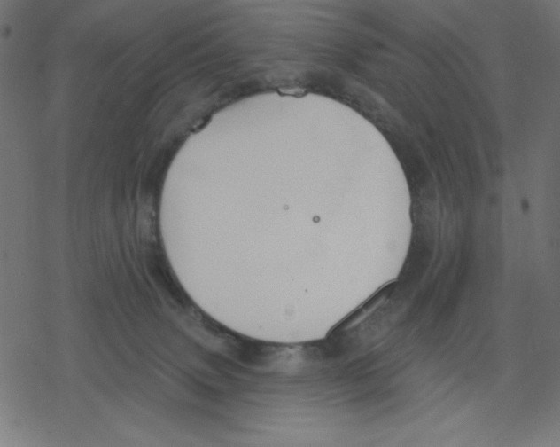 X0000078230083200612011550