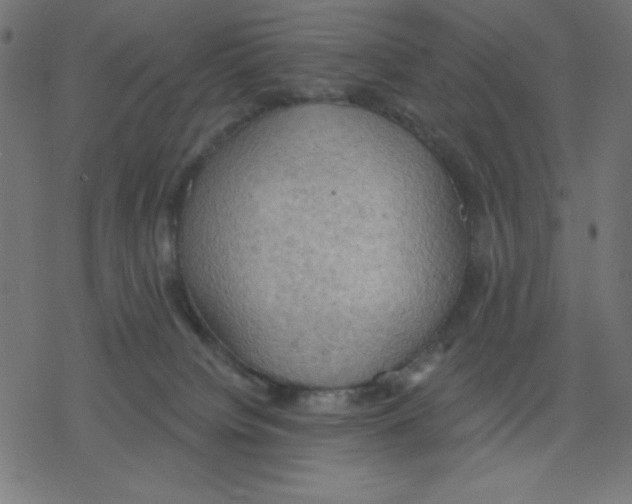 X0000078230084200612011550