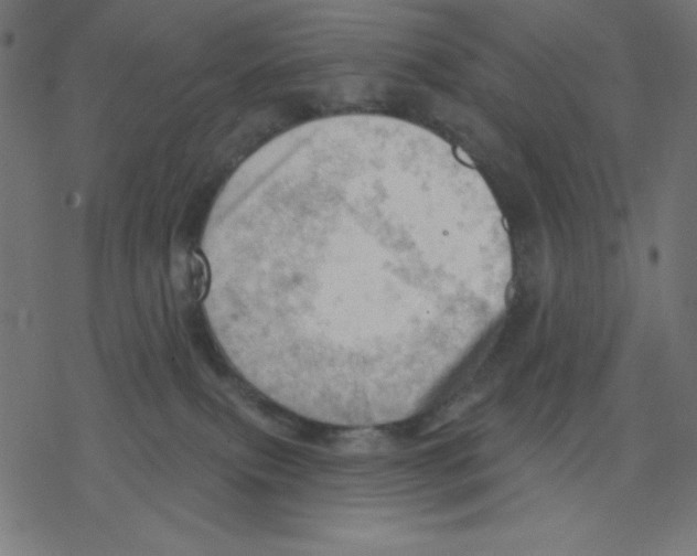 X0000078230087200612011550