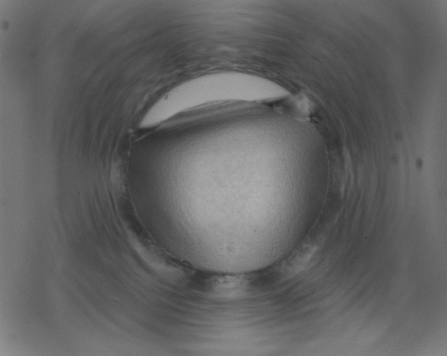 X0000078230088200612011550