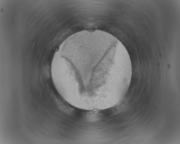 X0000078230090200612011550