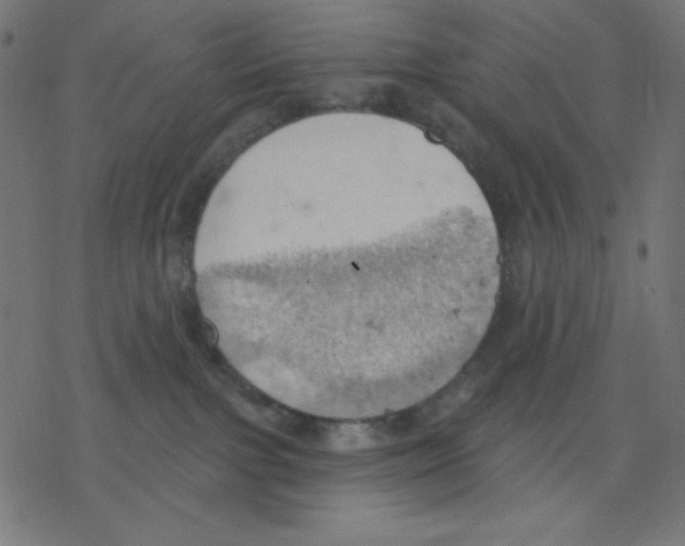 X0000078230091200612011550