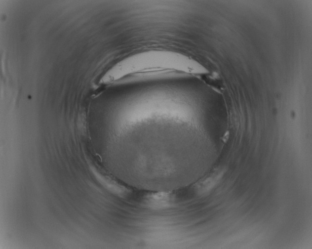 X0000078230092200612011550