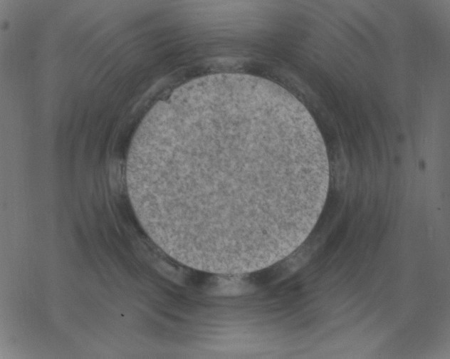 X0000078230093200612011550